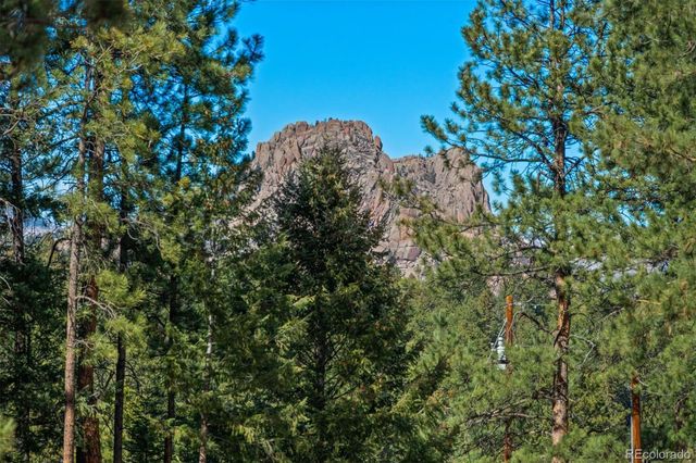 20202 Spring Creek Trail, Pine, CO 80470