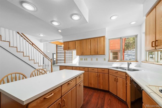 20202 Spring Creek Trail, Pine, CO 80470