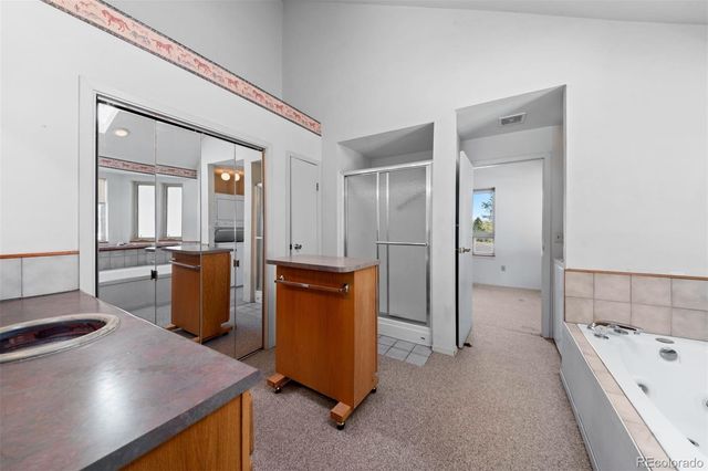 20202 Spring Creek Trail, Pine, CO 80470