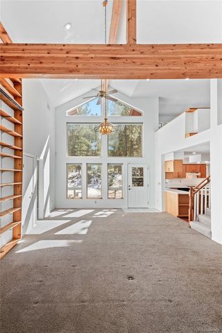 20202 Spring Creek Trail, Pine, CO 80470