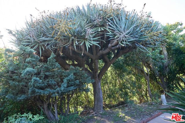 11222 Bellagio Road, Los Angeles, CA 90049