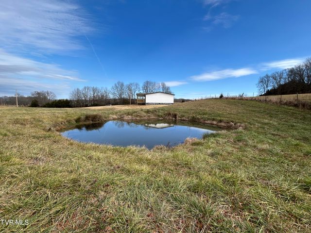 1040 Yellow Springs Road, Midway, TN 37809