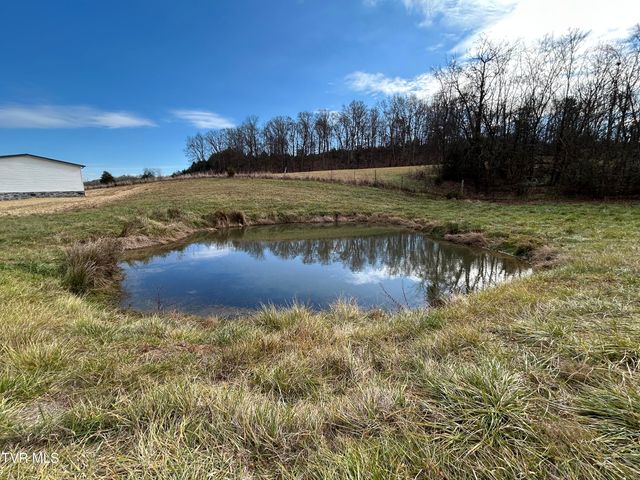 1040 Yellow Springs Road, Midway, TN 37809