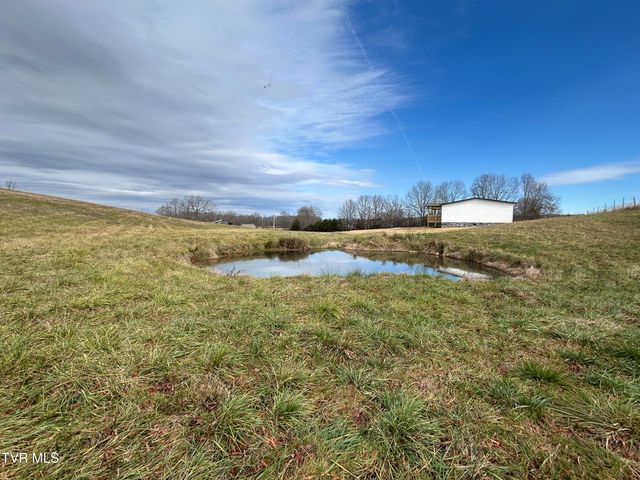 1040 Yellow Springs Road, Midway, TN 37809