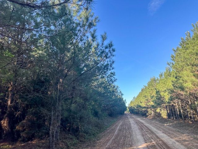 03 Highway 146, Livingston, TX 77351