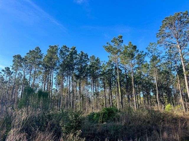 03 Highway 146, Livingston, TX 77351