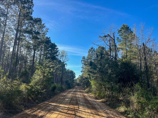 03 Highway 146, Livingston, TX 77351