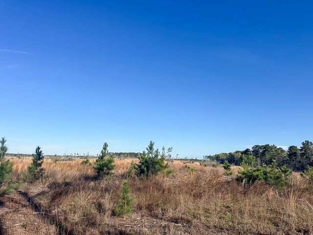 03 Highway 146, Livingston, TX 77351