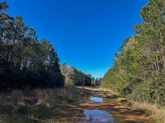 03 Highway 146, Livingston, TX 77351