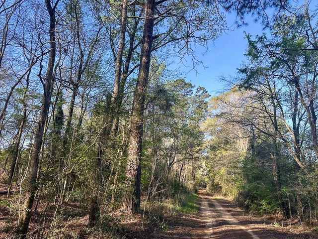 03 Highway 146, Livingston, TX 77351