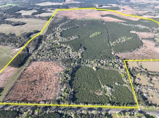 03 Highway 146, Livingston, TX 77351