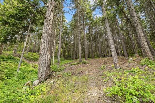1771 Timber Mountain Loop, Cle Elum, WA 98922