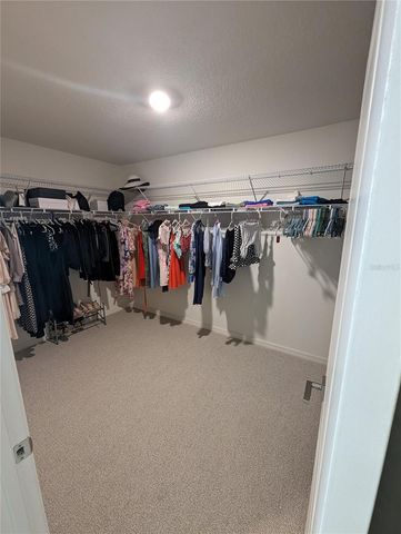 9235 FREEDOM HILL DRIVE, Seffner, FL 33584