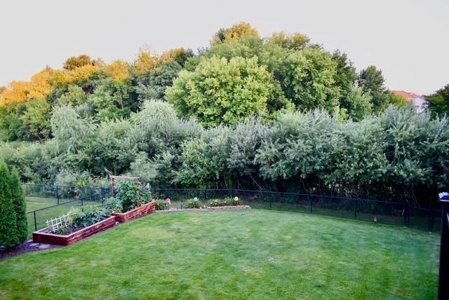 12367 76th Way NE, Otsego, MN 55330