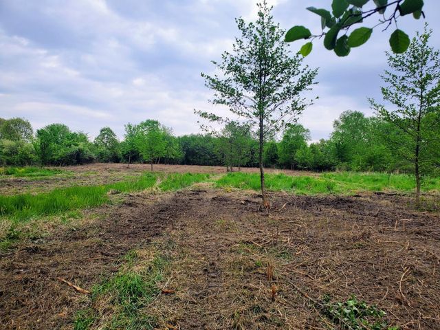 13196 County Line Road, Crown Point, IN 46307