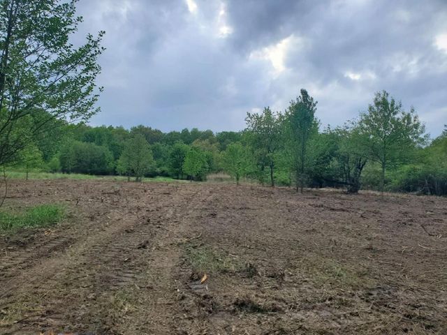 13196 County Line Road, Crown Point, IN 46307