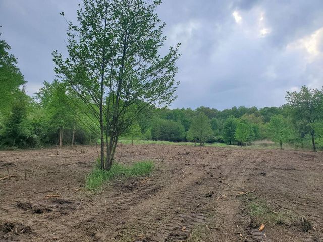 13196 County Line Road, Crown Point, IN 46307
