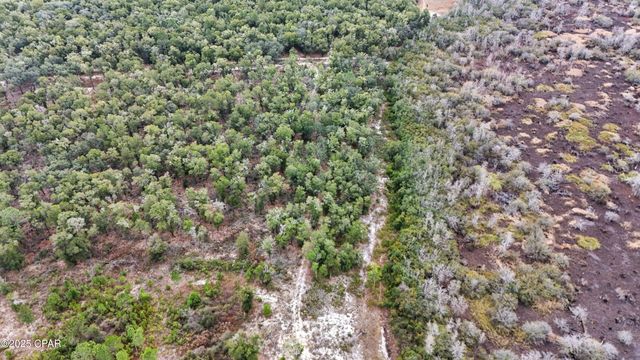 0 Pine Log Road, Chipley, FL 32428