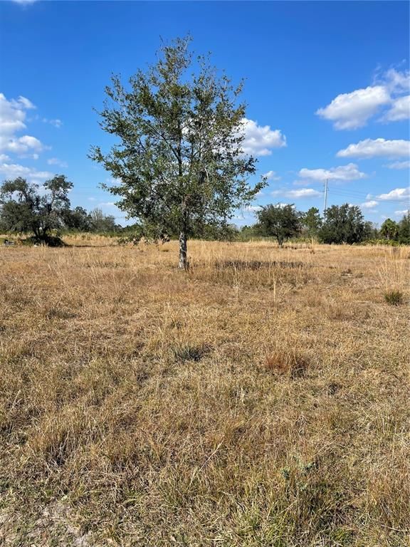 HAMMERMILL AVENUE, Lake Wales, FL 33859