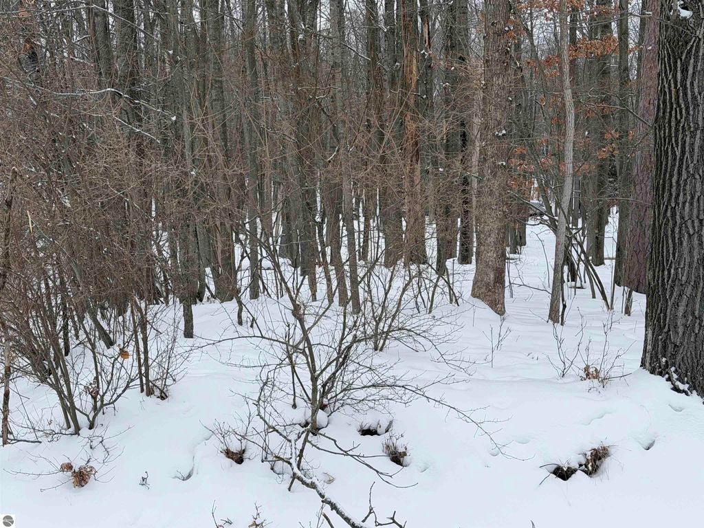 Image 10 of property listing at Lot 40 Squirrel Run, Farwell, MI 48622