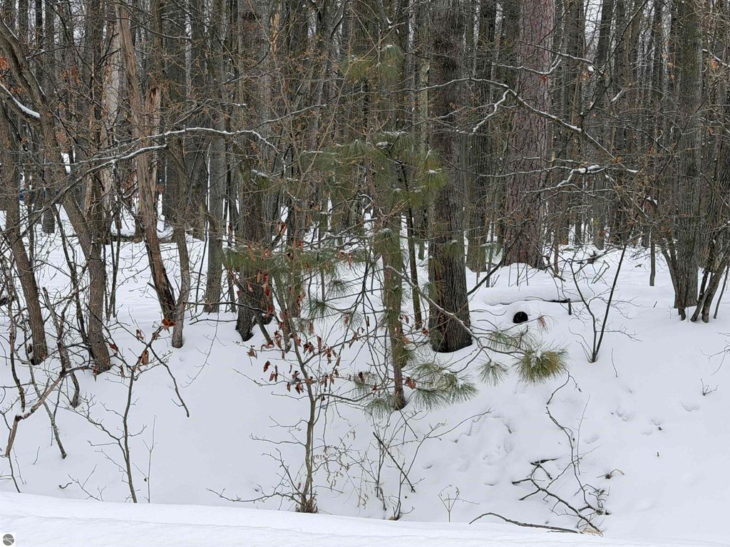 Image 11 of property listing at Lot 40 Squirrel Run, Farwell, MI 48622
