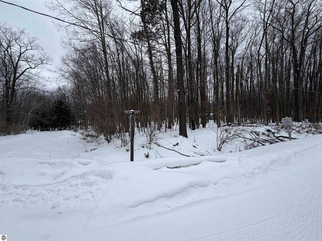 Image 3 of property listing at Lot 40 Squirrel Run, Farwell, MI 48622