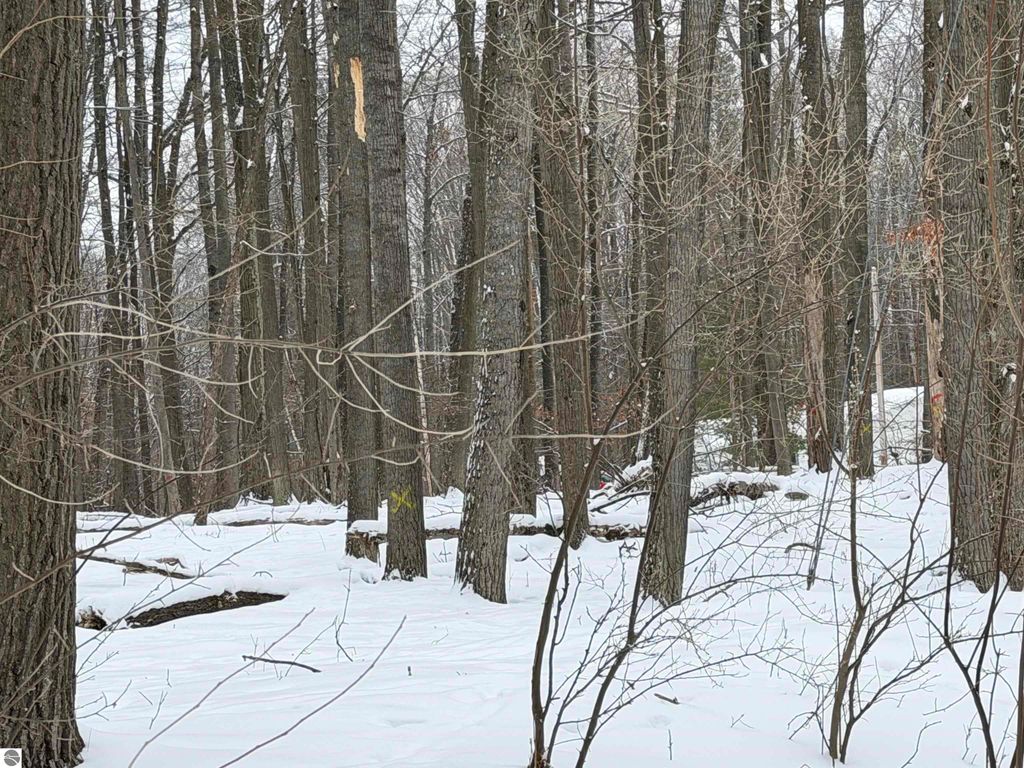 Image 5 of property listing at Lot 40 Squirrel Run, Farwell, MI 48622
