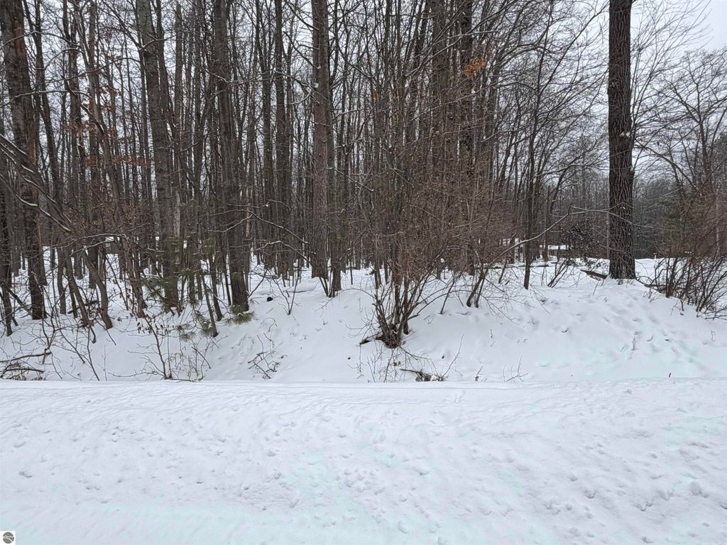 Image 6 of property listing at Lot 40 Squirrel Run, Farwell, MI 48622