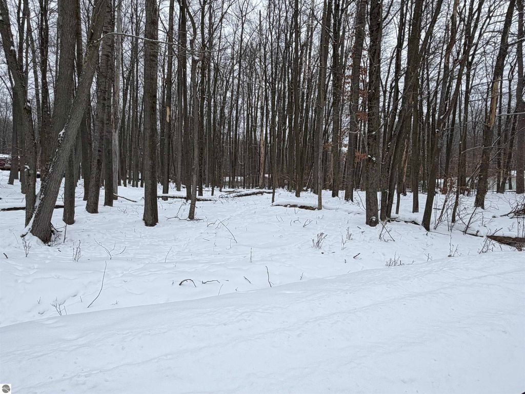 Image 7 of property listing at Lot 40 Squirrel Run, Farwell, MI 48622