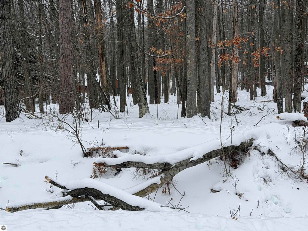 Image 8 of property listing at Lot 40 Squirrel Run, Farwell, MI 48622