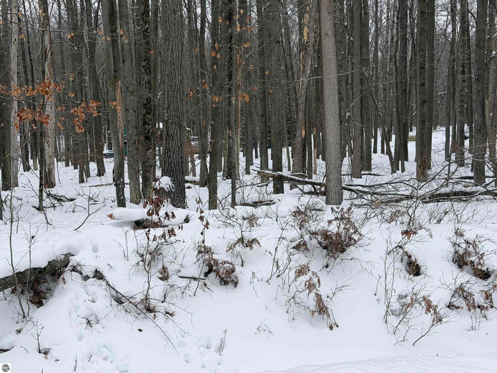 Image 9 of property listing at Lot 40 Squirrel Run, Farwell, MI 48622