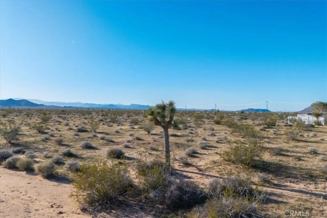 61628 Jupiter, Joshua Tree, CA 92252