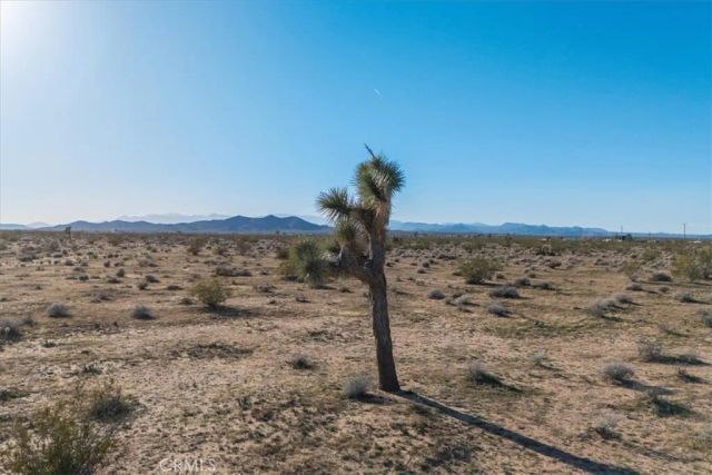 61628 Jupiter, Joshua Tree, CA 92252