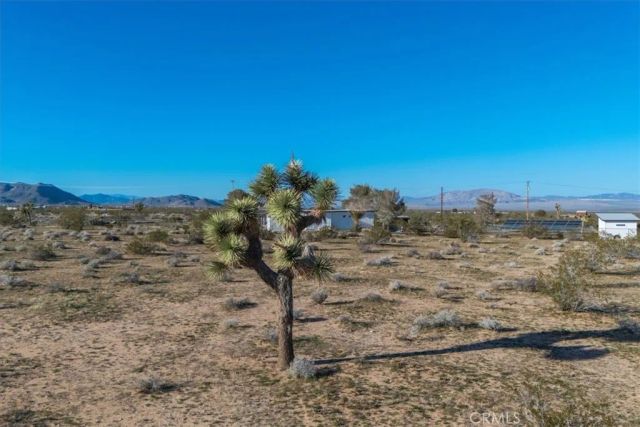 61628 Jupiter, Joshua Tree, CA 92252