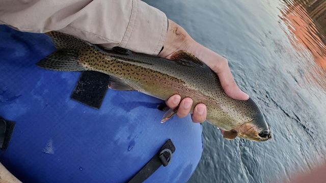 56261 Manzanita Lake Drive, North Fork, CA 93643