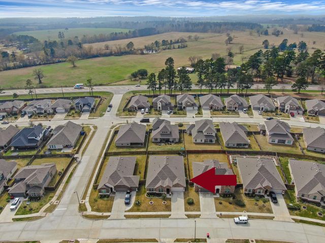 20147 Clear Ridge Lane, Montgomery, TX 77316