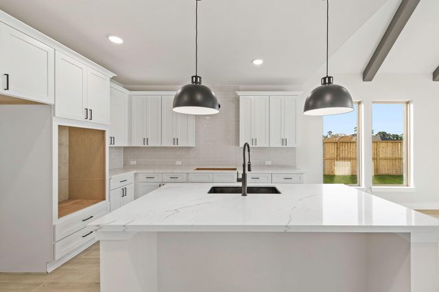 316 Silver Sage Street, Conroe, TX 77304