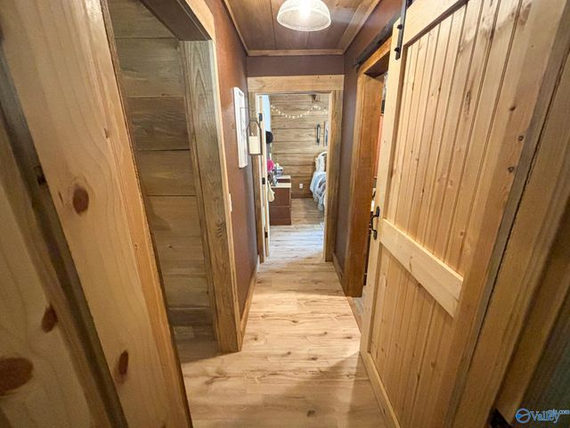 1364 County Road 3, Collinsville, AL 35961