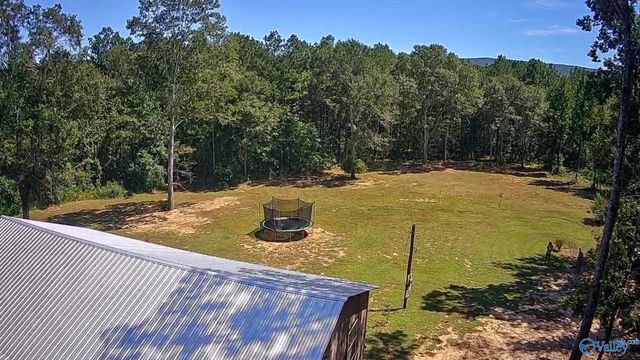 1364 County Road 3, Collinsville, AL 35961