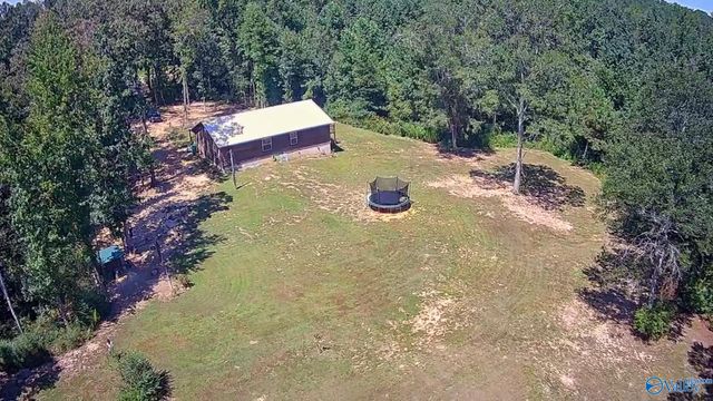1364 County Road 3, Collinsville, AL 35961