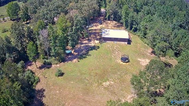 1364 County Road 3, Collinsville, AL 35961