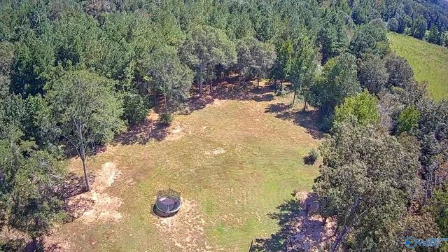 1364 County Road 3, Collinsville, AL 35961