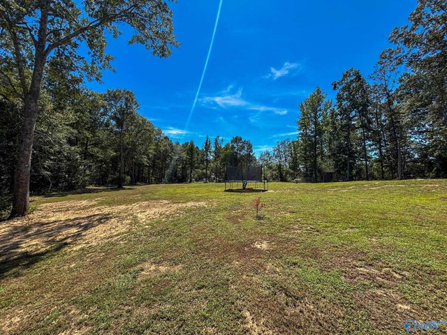 1364 County Road 3, Collinsville, AL 35961