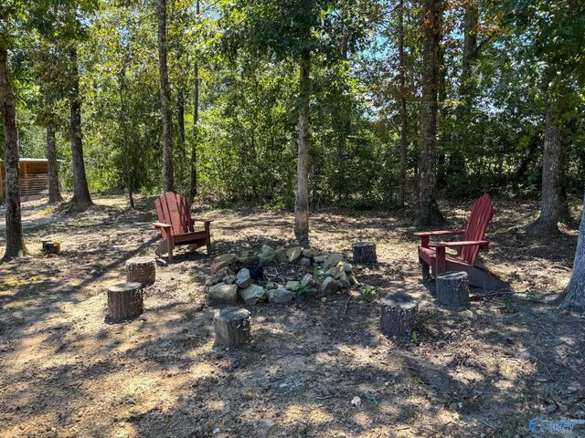 1364 County Road 3, Collinsville, AL 35961