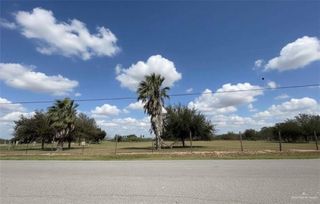 25114 Del Monte, Monte Alto, TX 78538