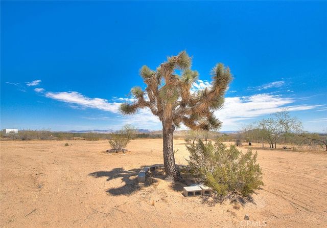 55525 Ornelas Lane, Landers, CA 92285