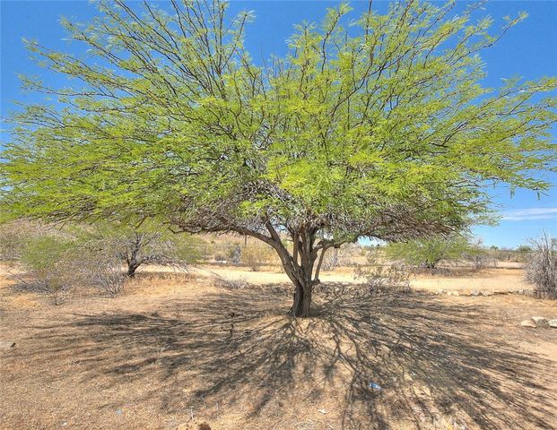 55525 Ornelas Lane, Landers, CA 92285