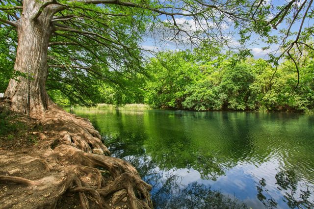 1038 Field ST, San Marcos, TX 78666
