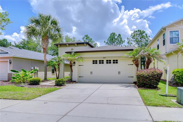 7847 TUSCANY WOODS DRIVE, Tampa, FL 33647