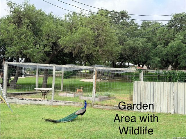 25423 Triangle Loop, San Antonio, TX 78255